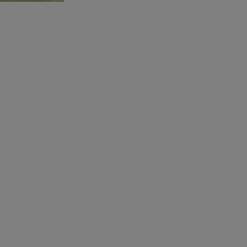 Coarse & Match Drennan Rods * Acolyte Distance Feeder Fishing Rods