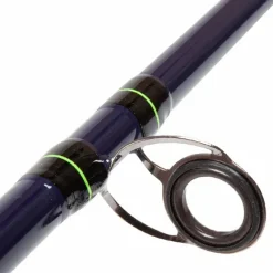 Sea Tronixpro Rods * Axia Beachcaster Fishing Rod