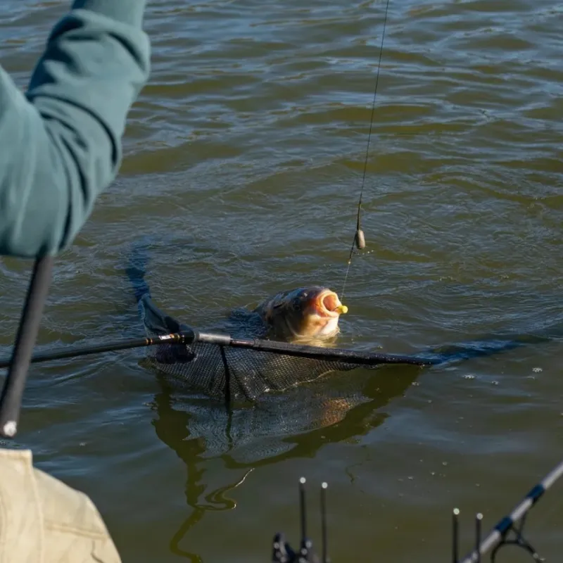 Carp Prologic Nets * Classic Carbon Landing Net