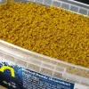 Coarse & Match Spotted Fin Bait & Additives * Classic Corn Method Ready Groundbait With Pellet Mix 2kg