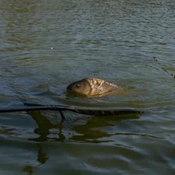 Pike / Predator Advanta Nets * Discovery CX Landing Net 42'' (107cm)