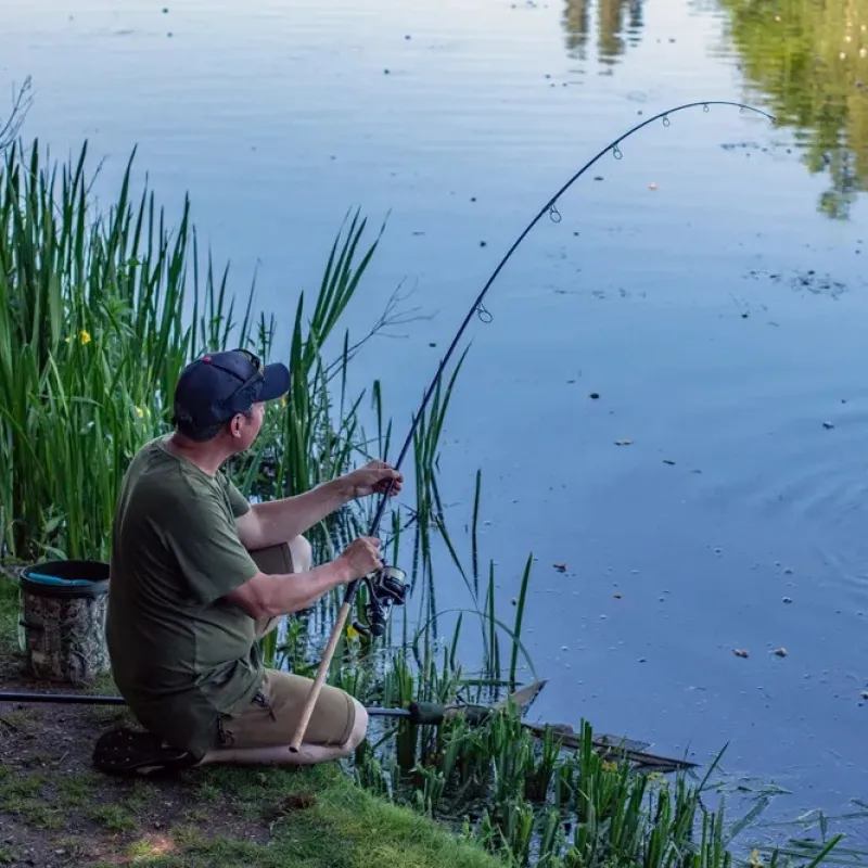 Carp Nash Rods * Dwarf Cork Fishing Rods