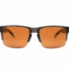 Carp Fortis Eyewear Sunglasses * Fortis Bays LITE Brown 24/7 Fishing Sunglasses