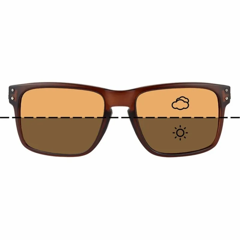 Carp Fortis Eyewear Carp Essentials * Fortis Bays Switch Brown Fishing Sunglasses