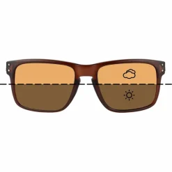 Carp Fortis Eyewear Carp Essentials * Fortis Bays Switch Brown Fishing Sunglasses