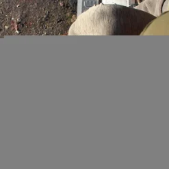 Fly Fortis Eyewear Clothing * Fortis Elements Fishing Bottoms