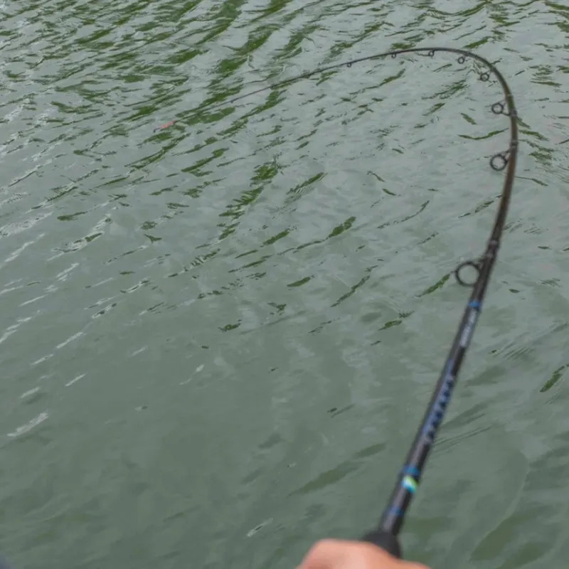 Coarse & Match Preston Rods * Monster X Carp Feeder Fishing Rods