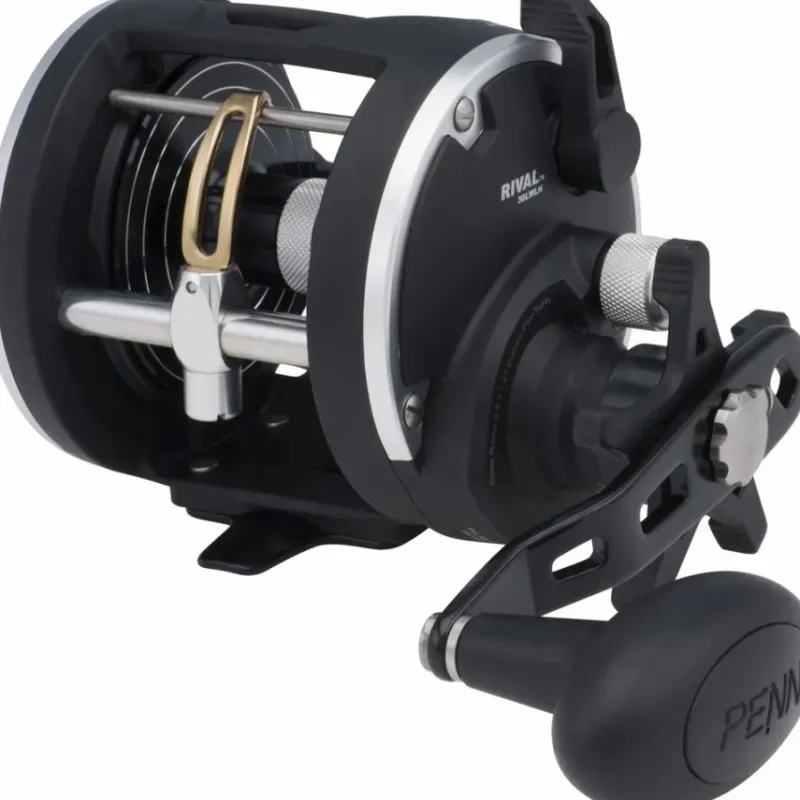 Sea Penn Reels * Rival Level Wind Reel