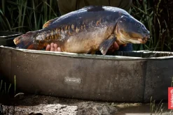 Carp Trakker Fish Care * Sanctuary Compact Oval Crib
