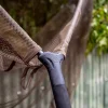 Carp Trakker Nets * Sanctuary T8 Landing Net