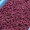 Coarse & Match Spotted Fin Bait & Additives * Sweet Meat Method Ready Fishing Pellets 4mm 2kg