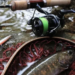 Pike / Predator Shimano Reels * Vanquish FB Reel
