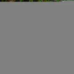 Carp Future Carping Bait Boats * V60 Carbon Fishing Bait Boat