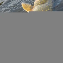 Pike / Predator Rapala Lures * X-Rap Haku Lures 14cm